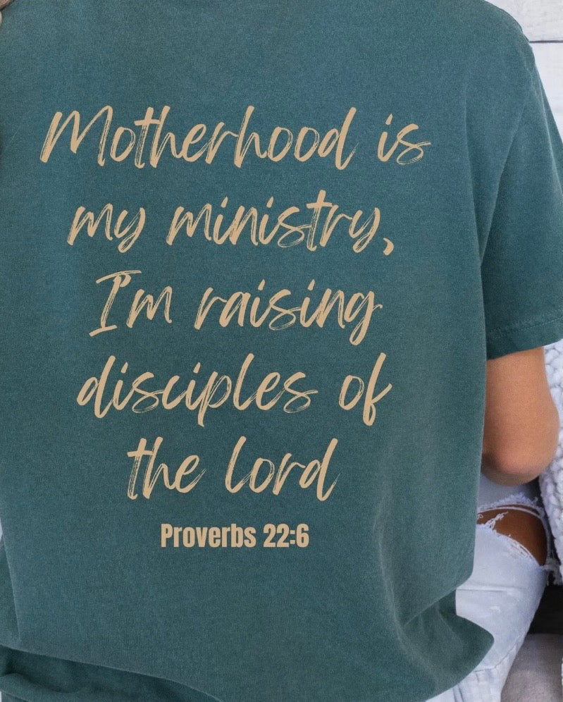 Proverbs 22:6 Graphic Tee
